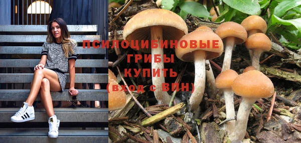 кокаин премиум Белокуриха