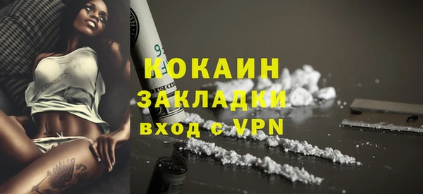 дмт Богородск