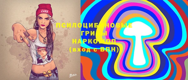 ПСИЛОЦИБИНОВЫЕ ГРИБЫ Сосновый Бор