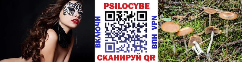 Галлюциногенные грибы GOLDEN TEACHER  Ворсма 